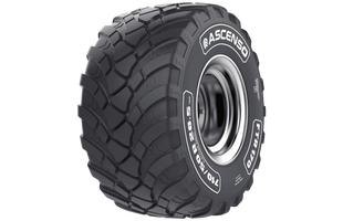 Шина с/х 650/50 R22.5 FTR 170 Steel Belted 163D бескамерная Ascenso (Индия) S000044 фото