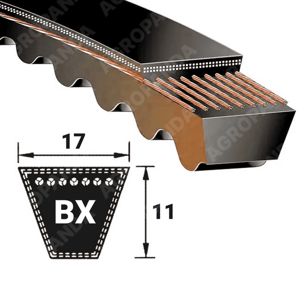 Ремень 17/BX 2585 Ld / BX100 (BX 2585) Contitech (Германия), зубчатый 17x11x2585 мм BX00024 фото